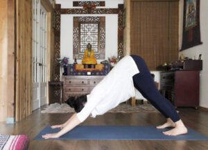 Pratique de yoga - Prayana Yoga